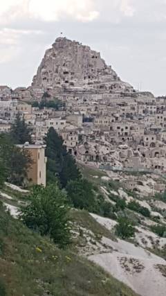 Evrensel Kolej